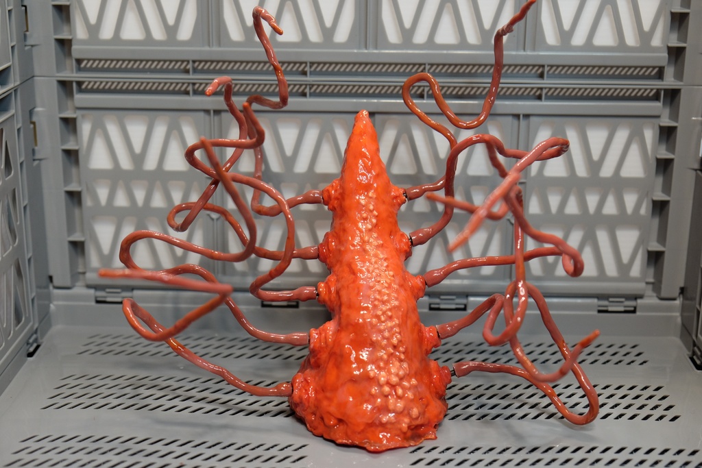 【触手生物】コルヌコピア(触手別売り)