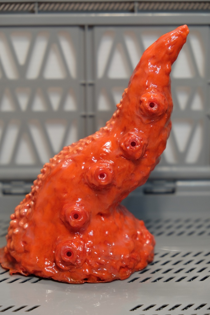 【触手生物】コルヌコピア(触手別売り)