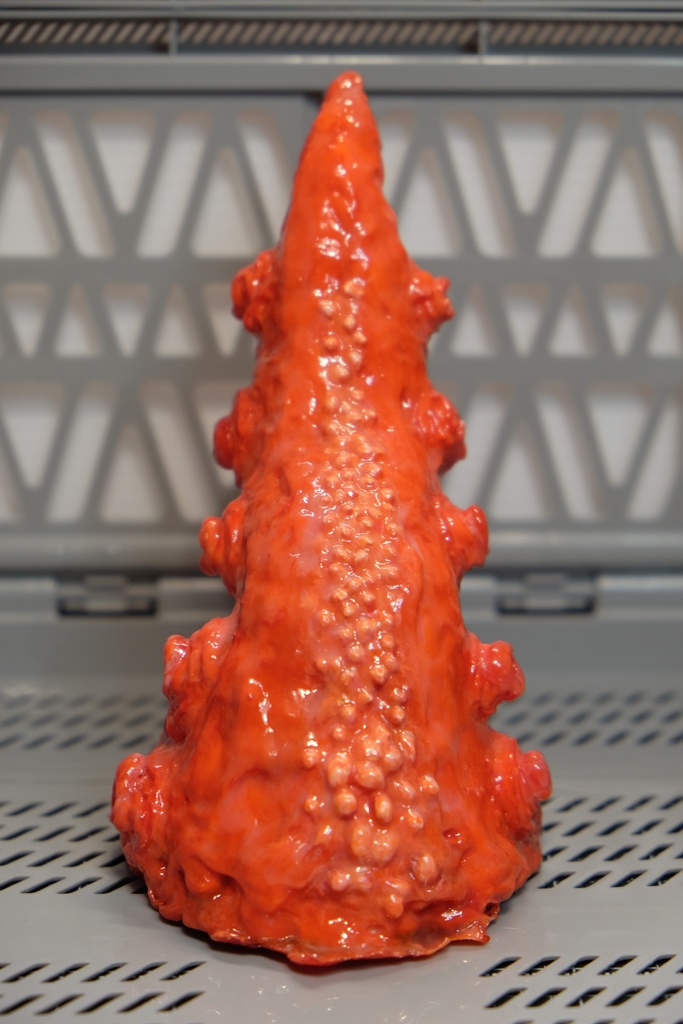 【触手生物】コルヌコピア(触手別売り)