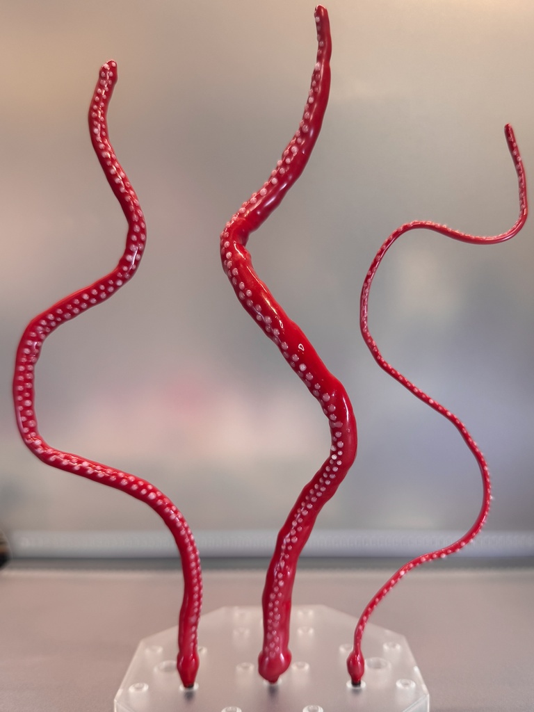 つぶつぶ触手【レッド】