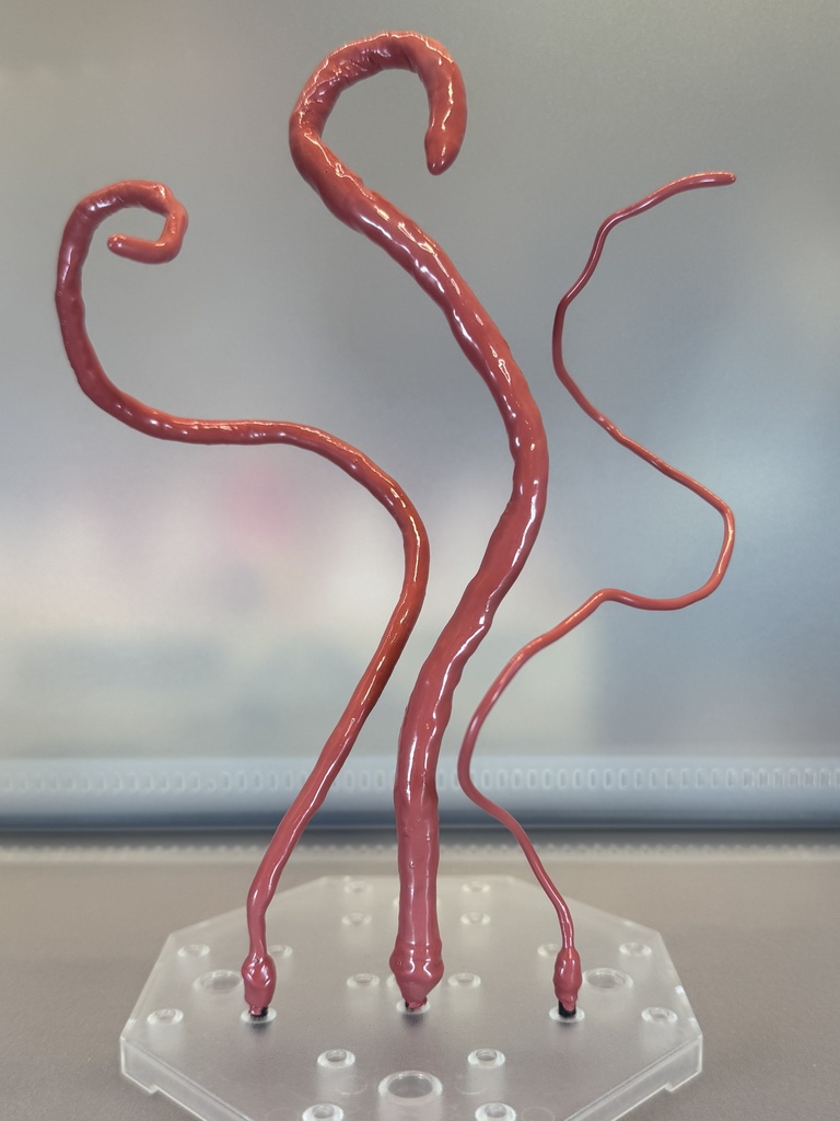 つるつるプレーン触手【ピンク】