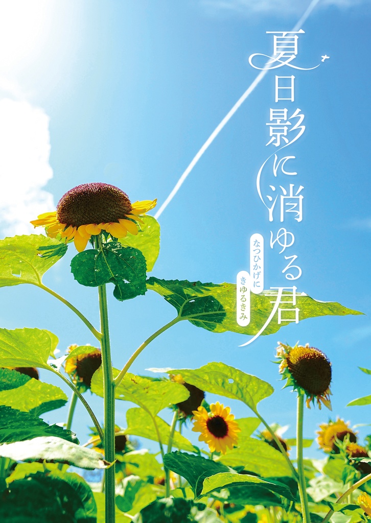 夏日影に消ゆる君