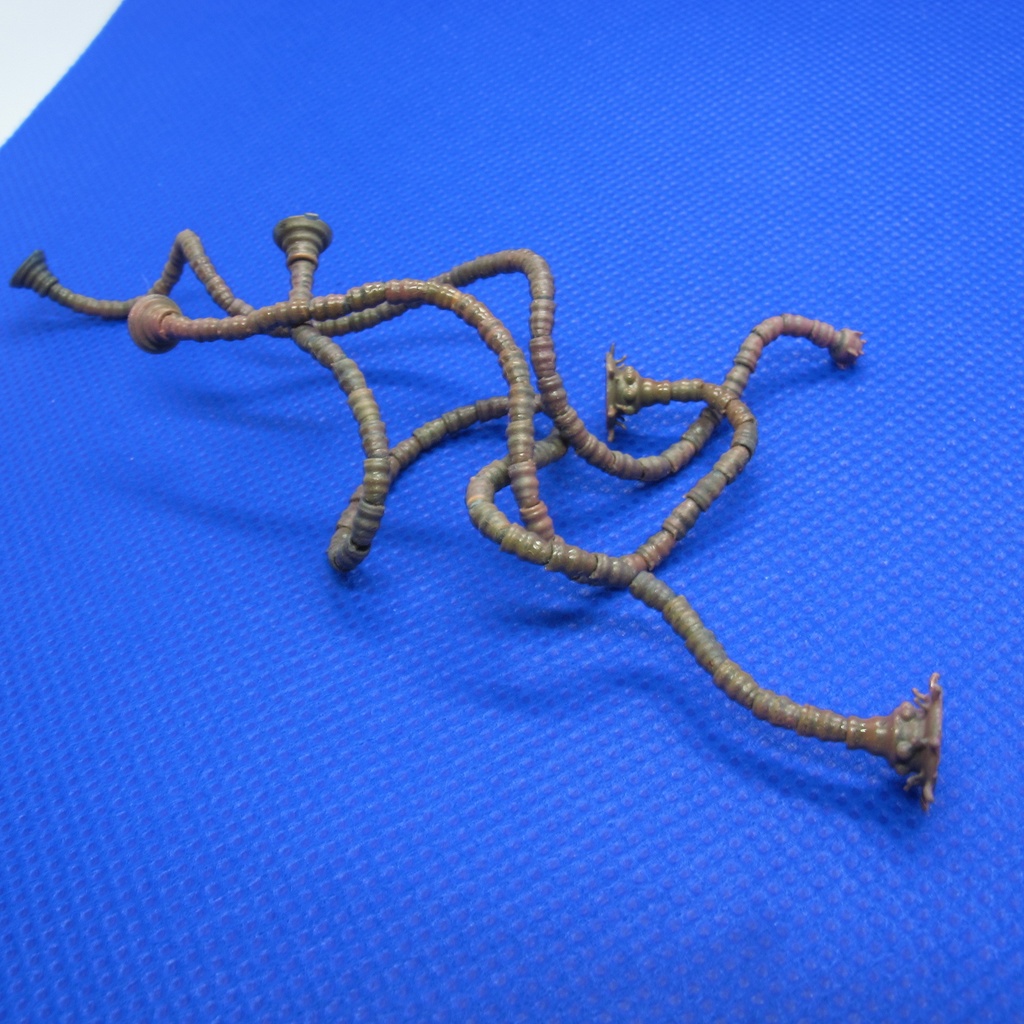 ジオラマ小物 クリーチャー(ワームタイプ) 組立キット