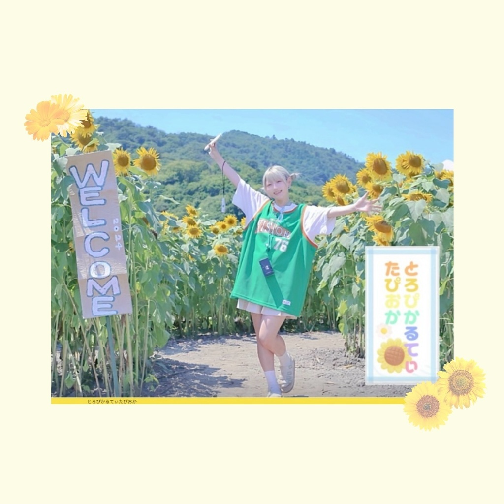 ⋰˚ とろぴかるてぃたぴおか zine ⋆꙳