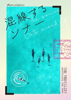 【お値下げ売り切り】混線するソナー