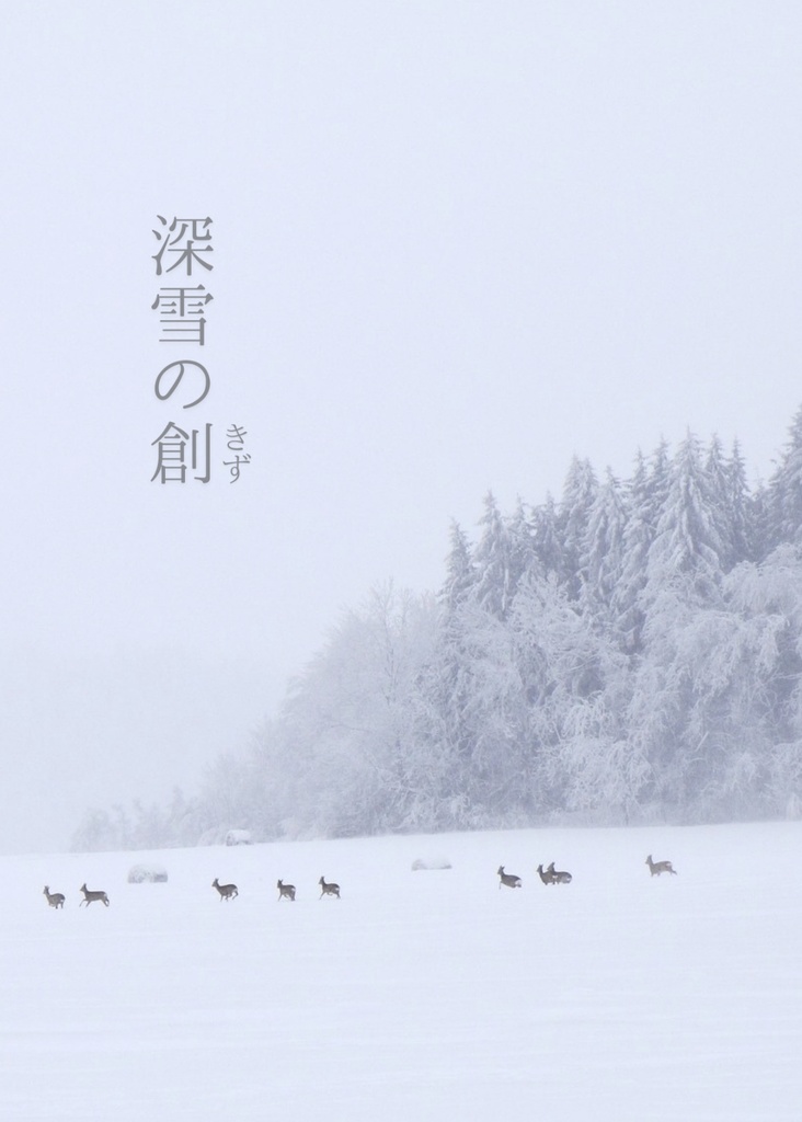 【同梱可能】深雪の創