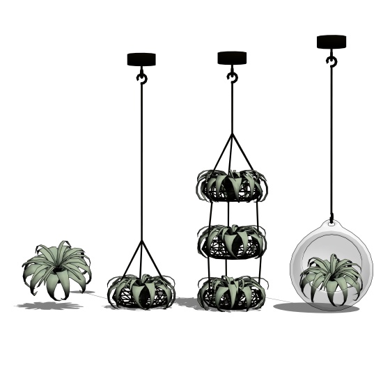 【クリスタ専用】吊るせるエアプランツ_キセログラフィカ 【観葉植物】