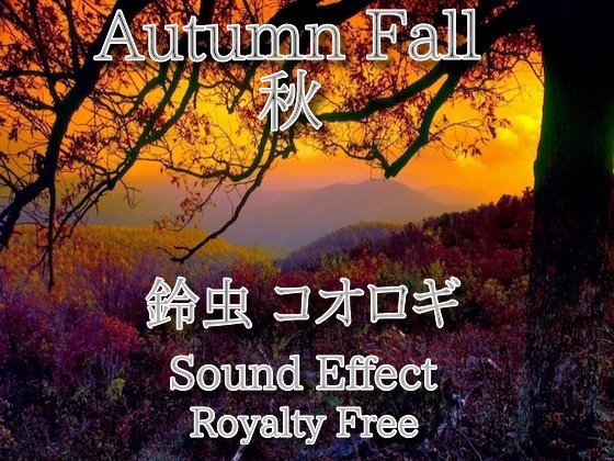秋 鈴虫 コオロギ 効果音 ♪ループ♪