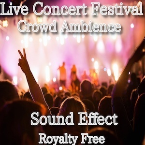 ライヴやコンサートでの大歓声 効果音 16 / 純粋な期待と興奮！