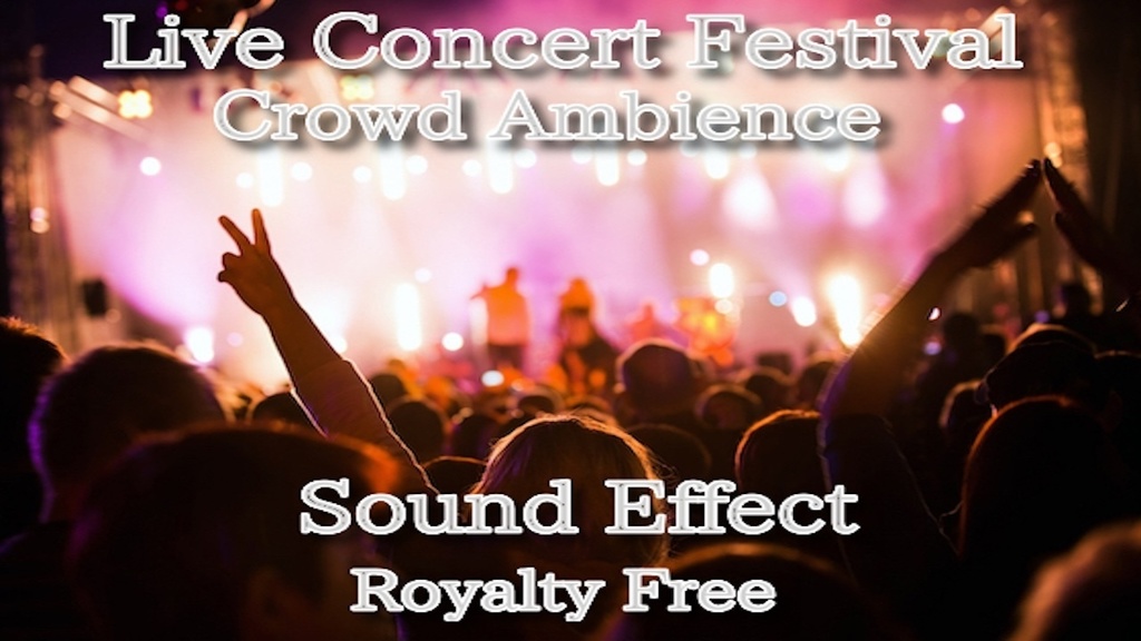 ライヴやコンサートでの大歓声 効果音 17 上品 拍手 イベント