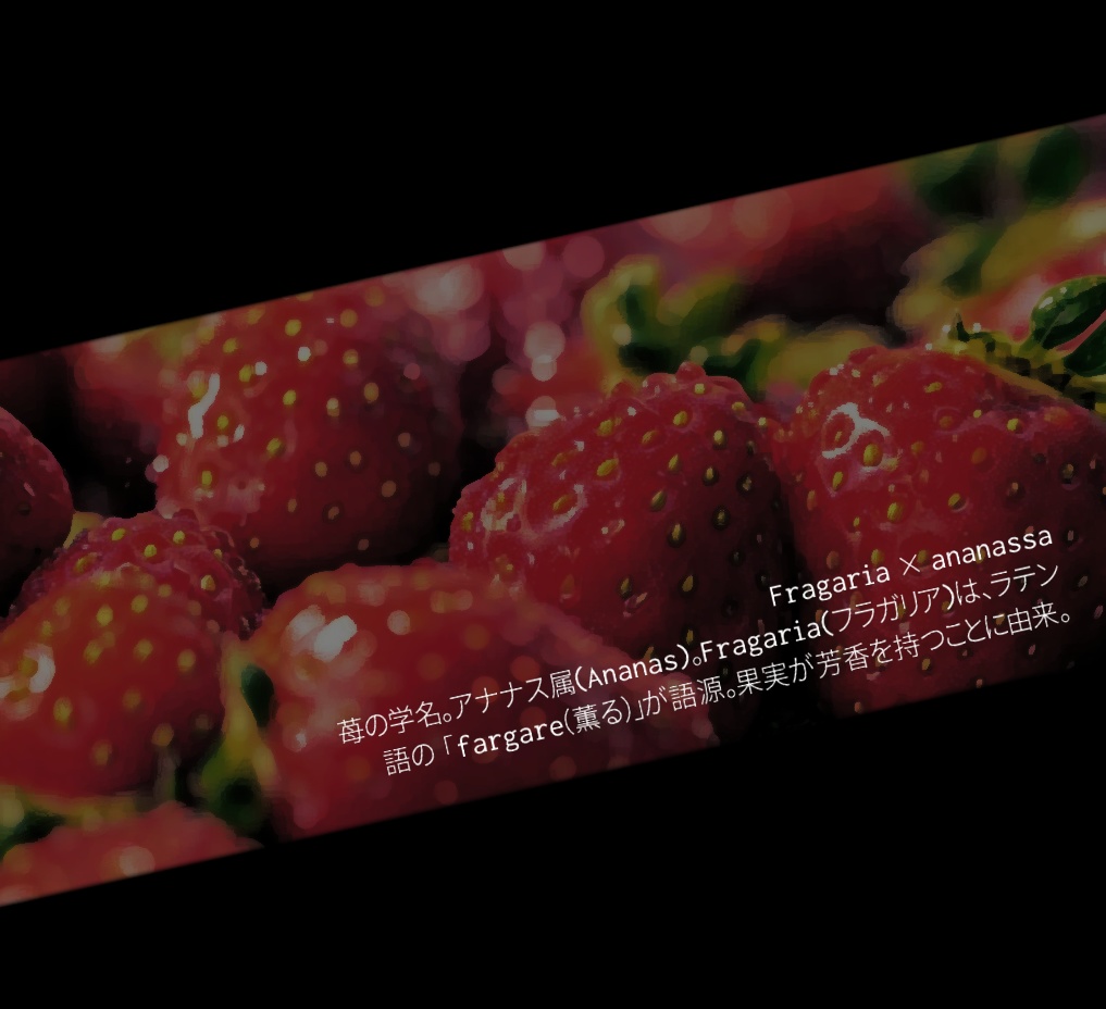 【CoC】Fragaria × ananassa