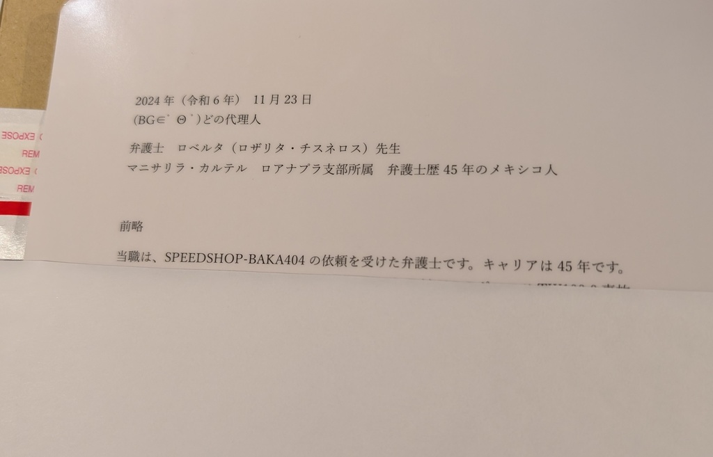 例の怪文書したじき(直送)
