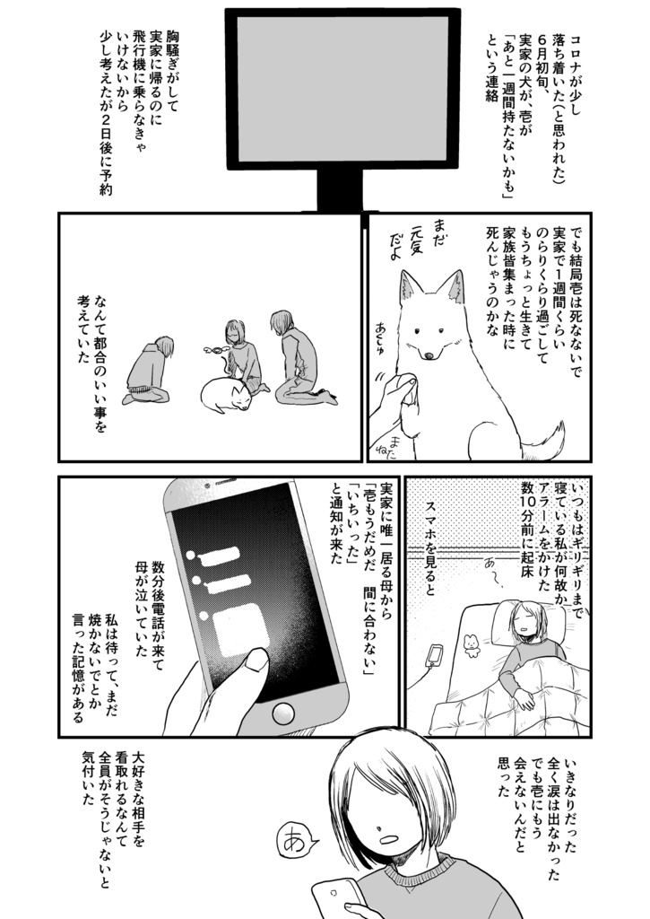 実家の犬が死んだ