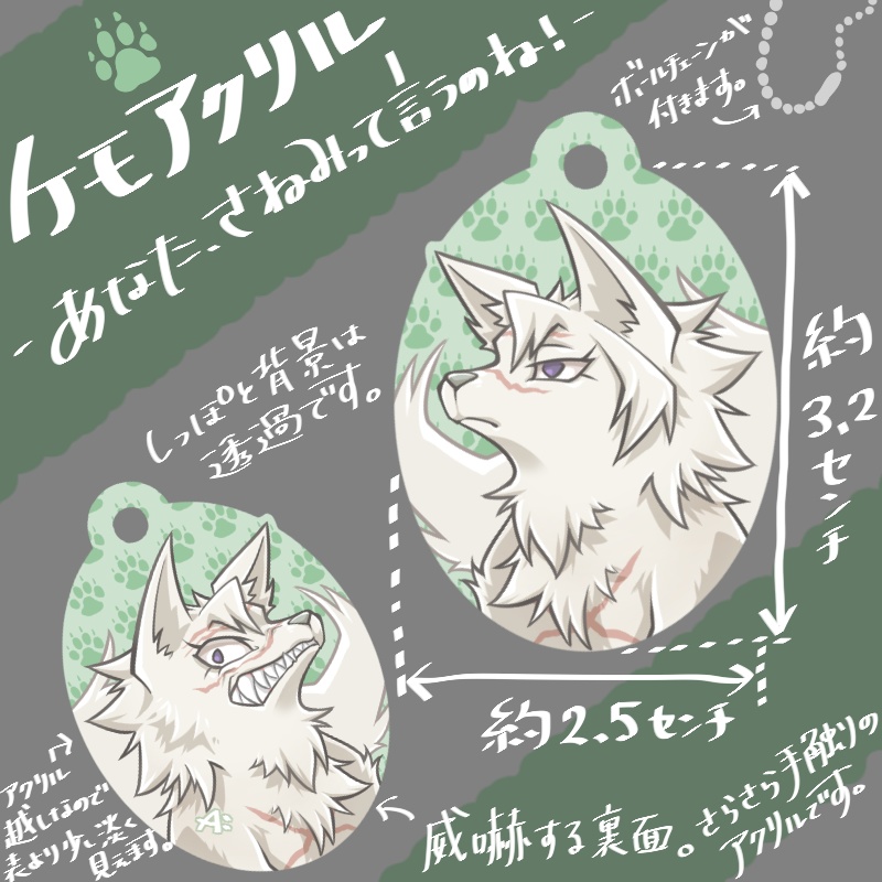 ケモアクリル -あなた、さねみって言うのね！-