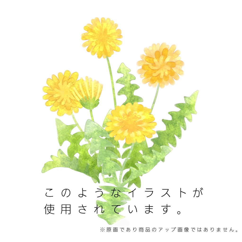 たんぽぽTシャツ for女子