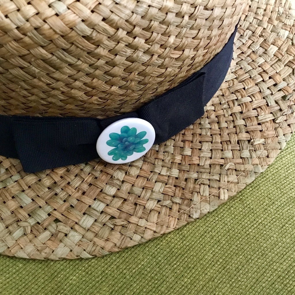 ぷりぷり多肉缶バッジb-2