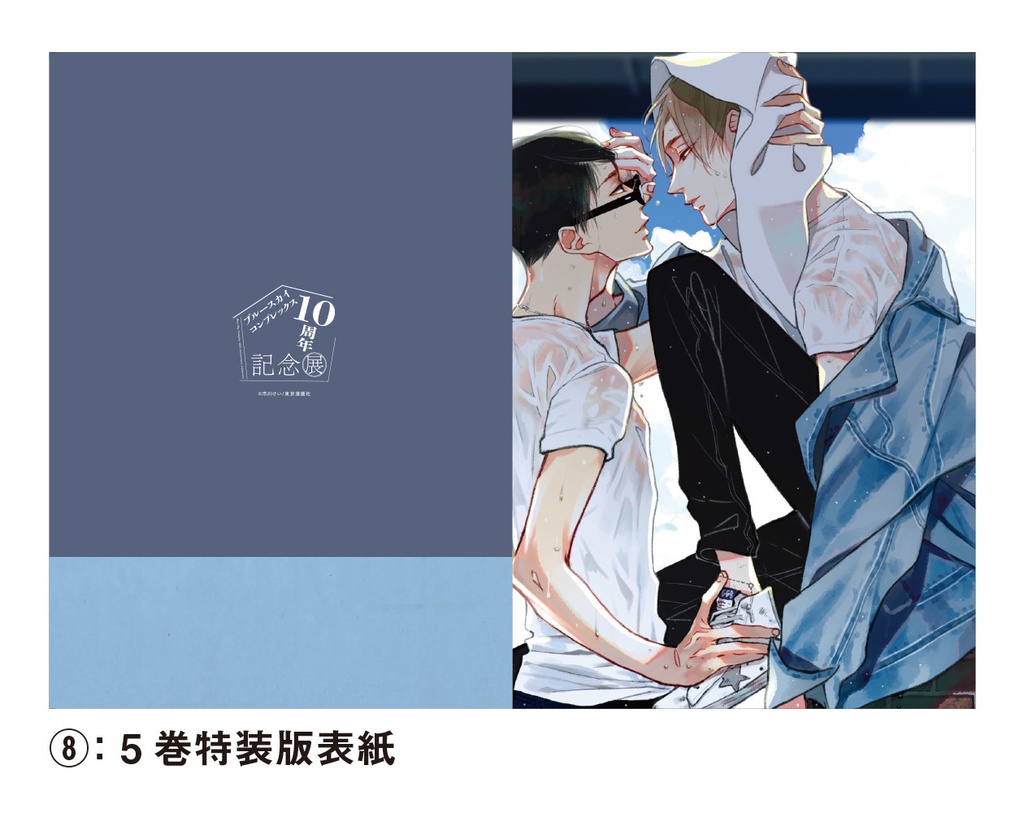 表紙絵クリアファイル全20種(Blue Sky Complex 10周年記念展 in animate onlyshop)