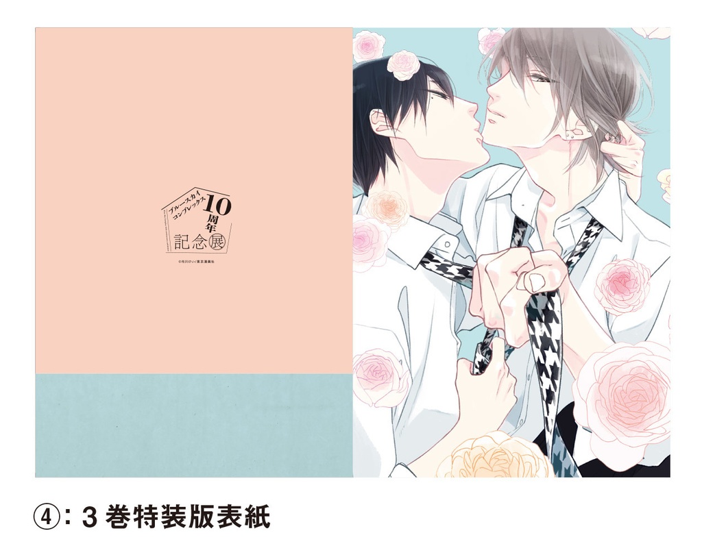 表紙絵クリアファイル全20種(Blue Sky Complex 10周年記念展 in animate onlyshop)