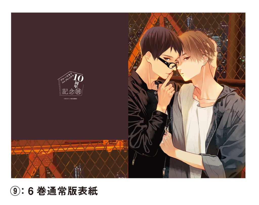 表紙絵クリアファイル全20種(Blue Sky Complex 10周年記念展 in animate onlyshop)