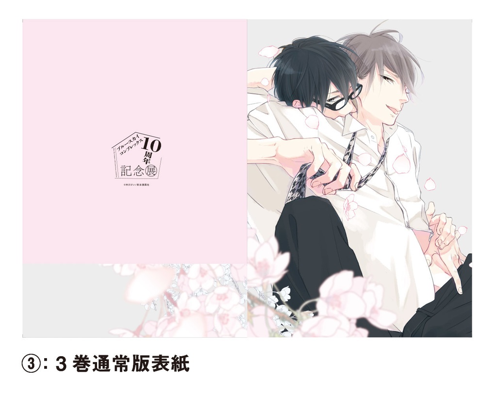 表紙絵クリアファイル全20種(Blue Sky Complex 10周年記念展 in animate onlyshop)