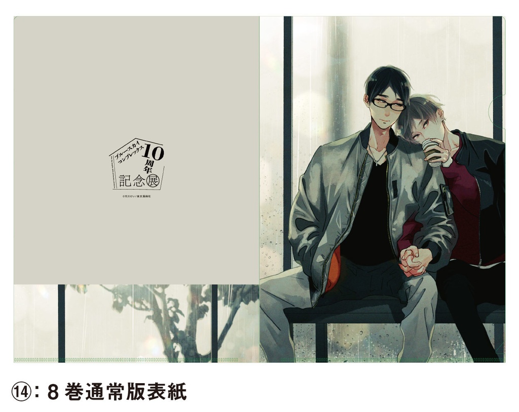 表紙絵クリアファイル全20種(Blue Sky Complex 10周年記念展 in animate onlyshop)