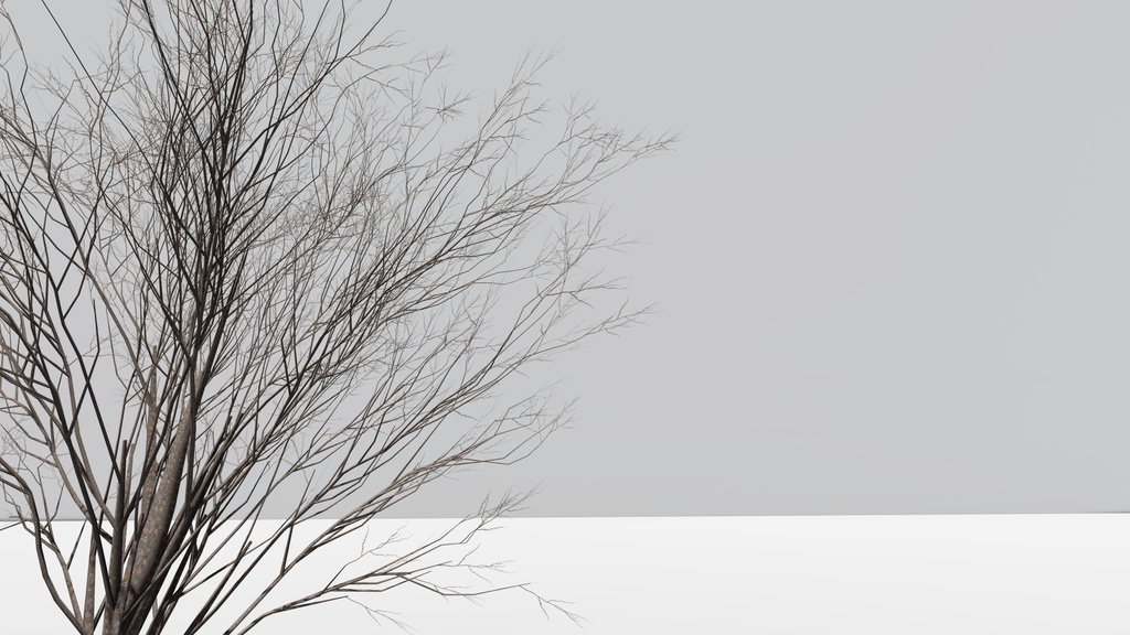 ケヤキの3Dモデル Zelkova serrata