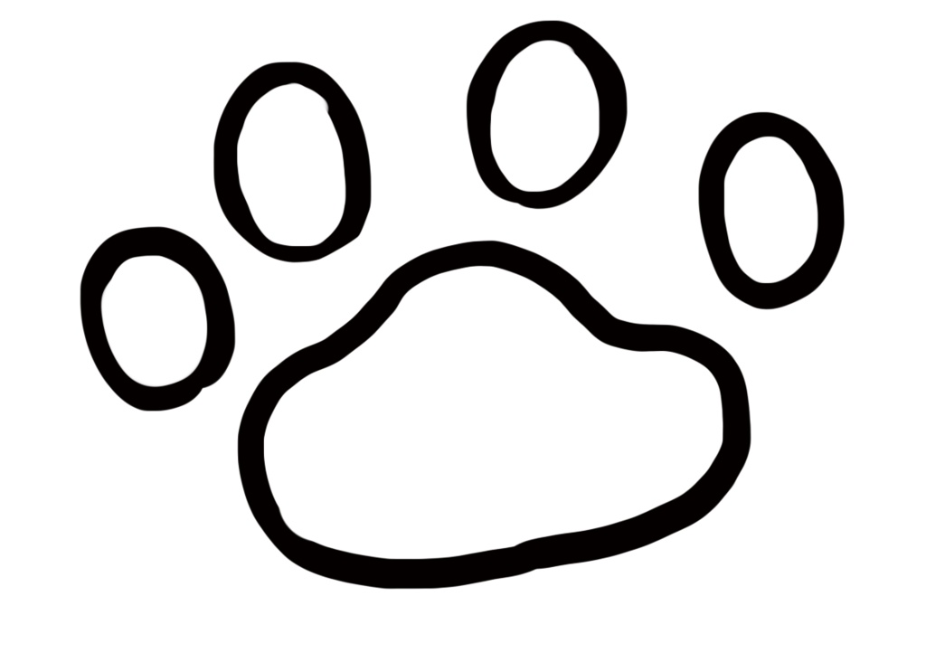 白灯パーカーB黒【hooded sweatshirt】