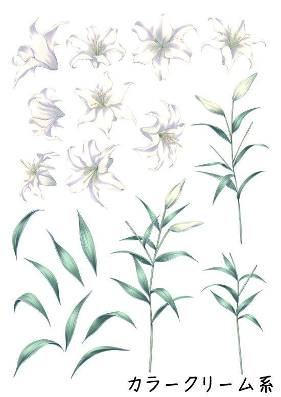 ゆりブラシ&画像素材