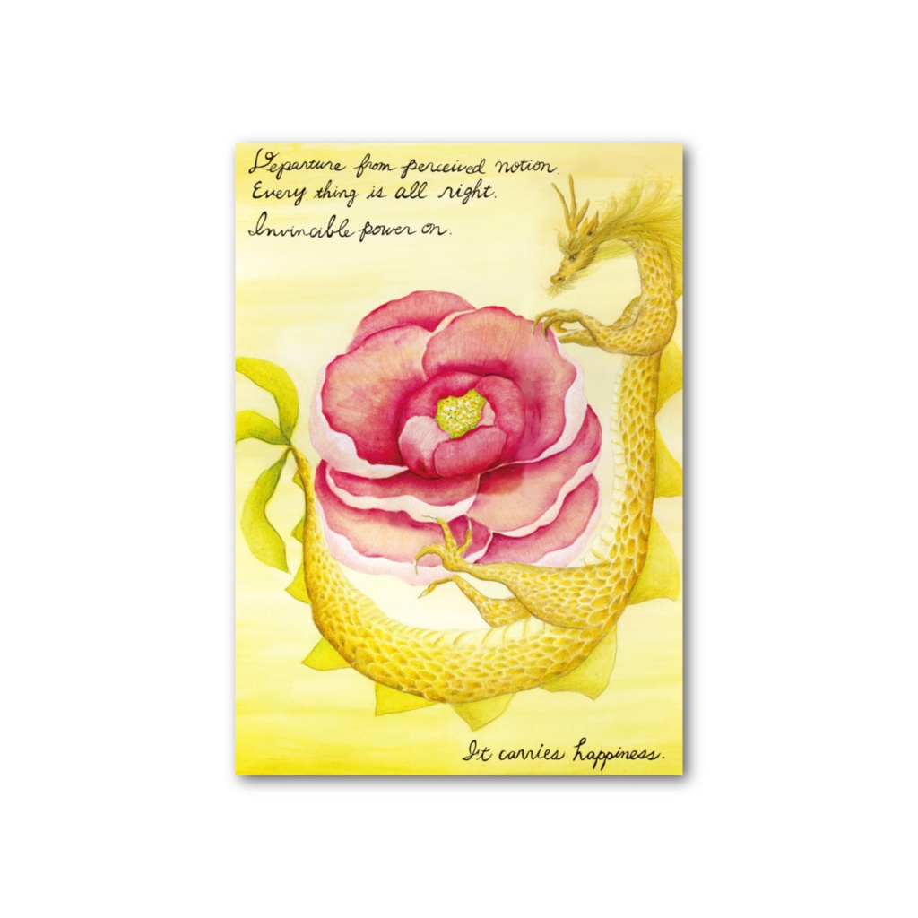 DragonR01編・金龍01編/フォト風カード裏面も絵あり