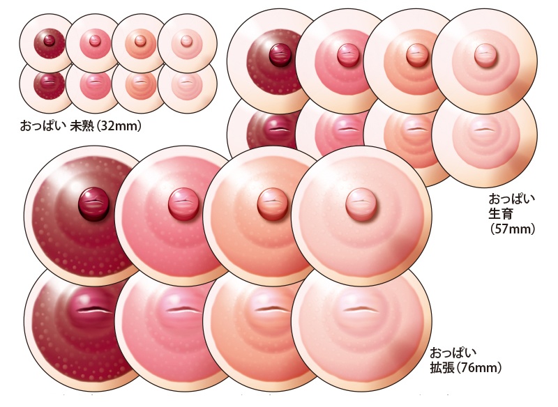 SALE！　カンバッジ「おっぱい（乳首）」24種セット