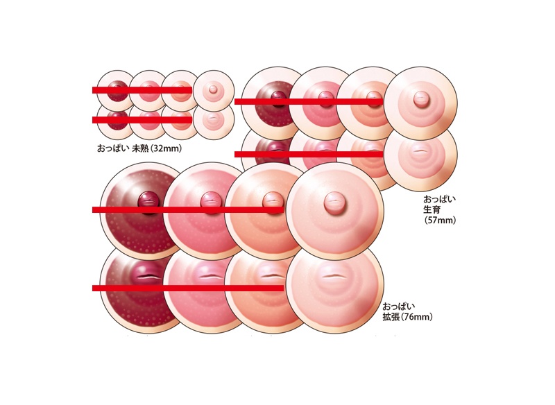 カンバッジ「おっぱい（乳首）」【乳首色-淡い色】6種セット