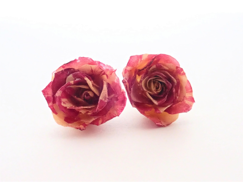 本物の花 ローズメリアのピアス パールキャッチ