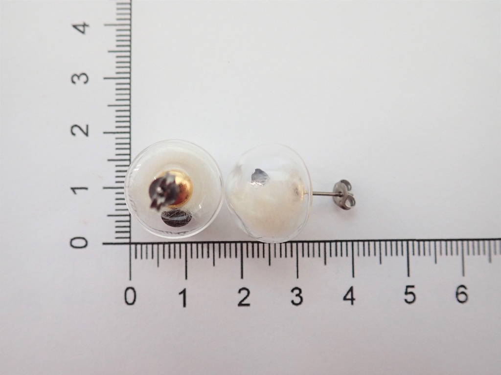 英雄樹のタネ 半球のピアス