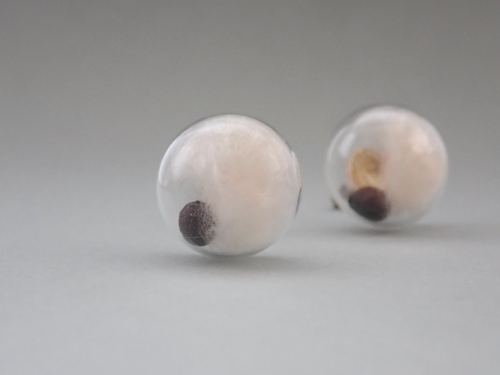 英雄樹のタネ 半球のピアス