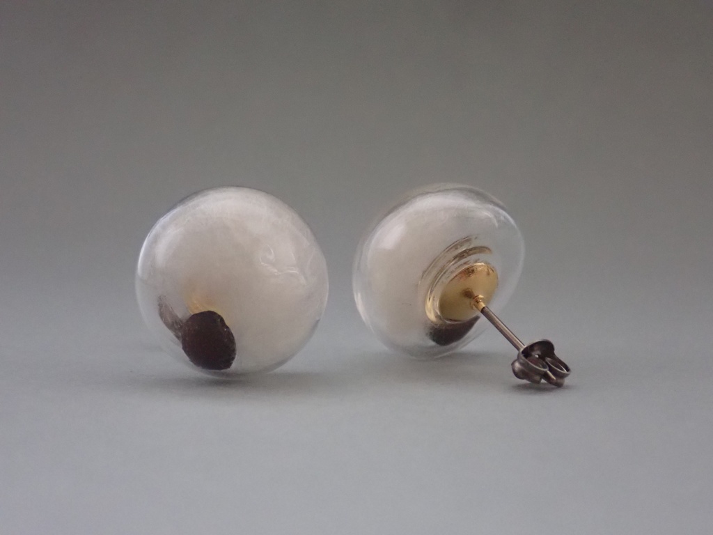 英雄樹のタネ 半球のピアス