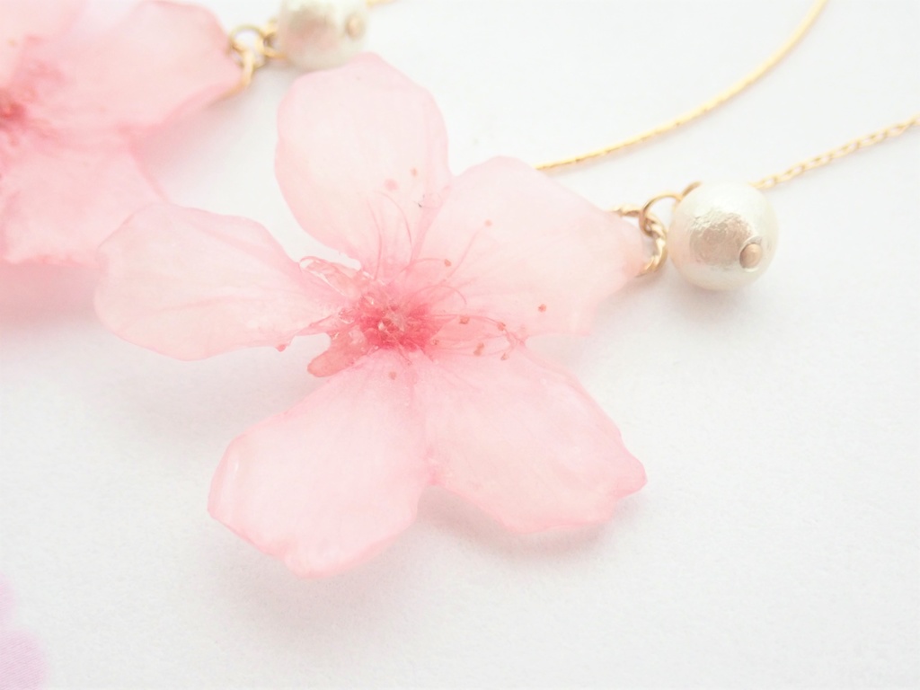 本物の櫻✕コットンパール アメリカンピアス