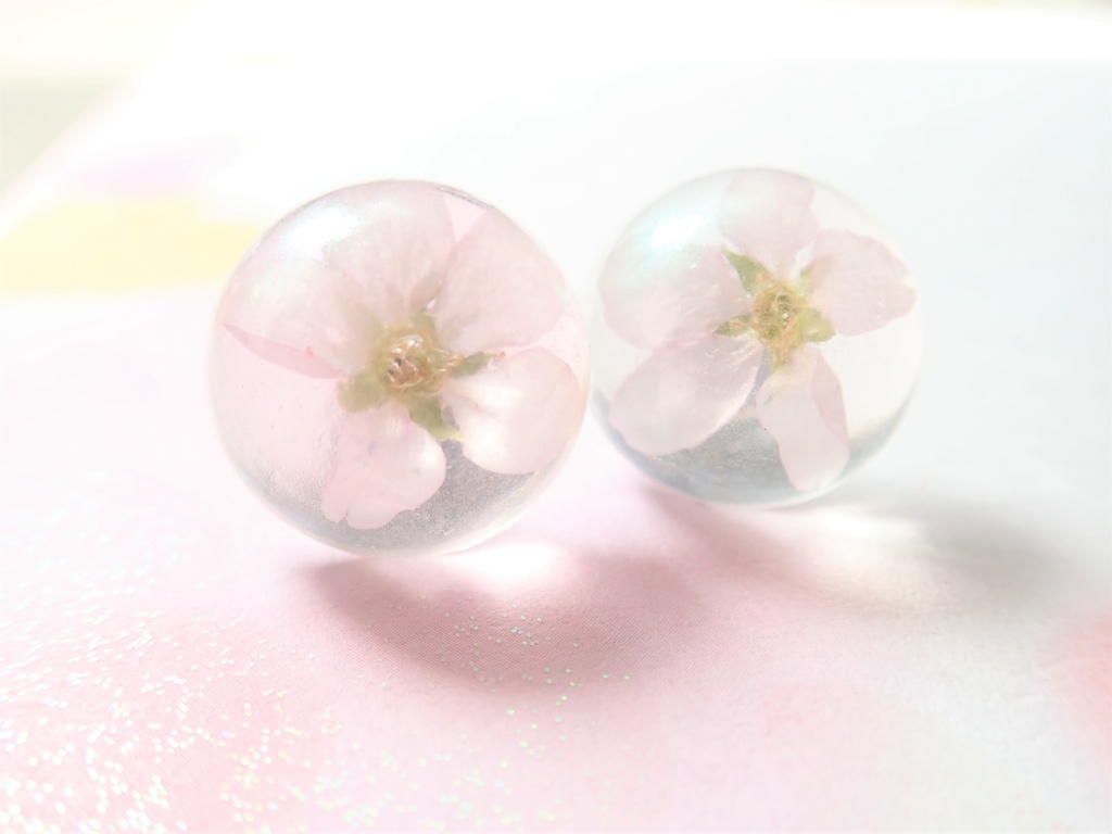 啓翁桜 パールホワイト 半球 一粒ピアス