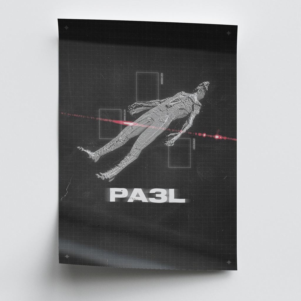 PA3L Poster No.2