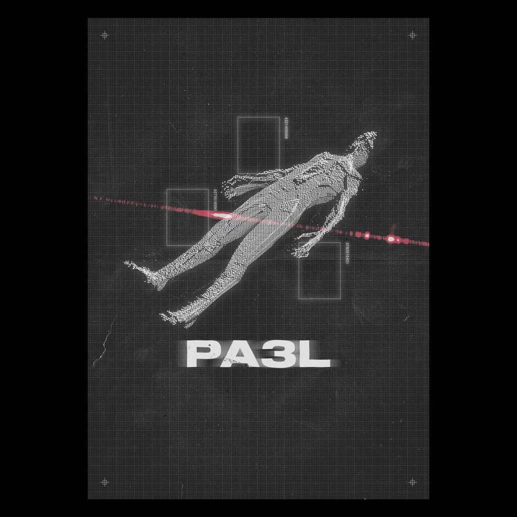 PA3L Poster No.2