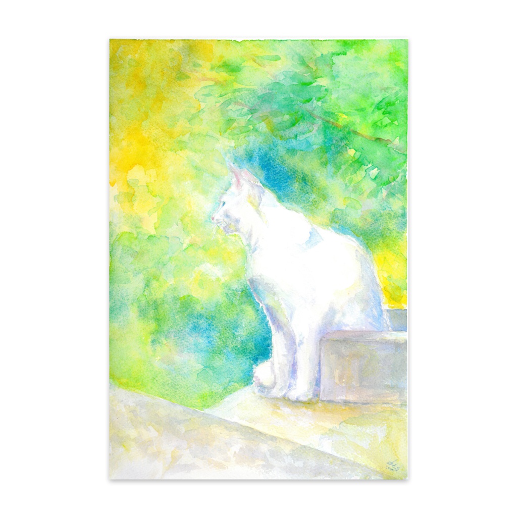 白猫さん木々の光postcard