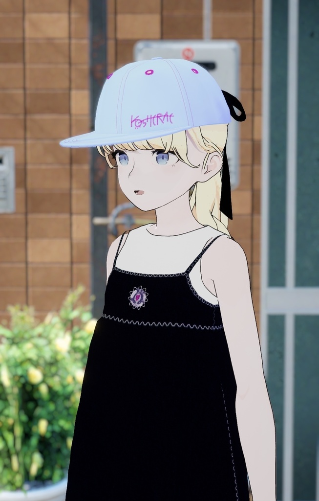 【Lapwing】帽子・スナップバックキャップ/ snapbackcap