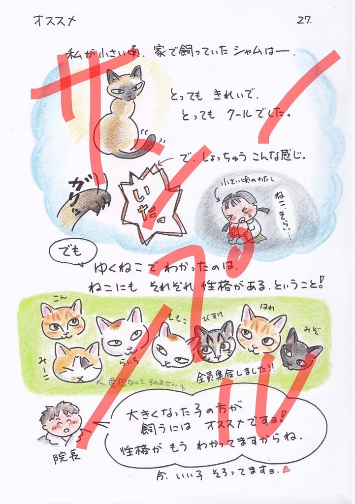 今日もゆくねこ