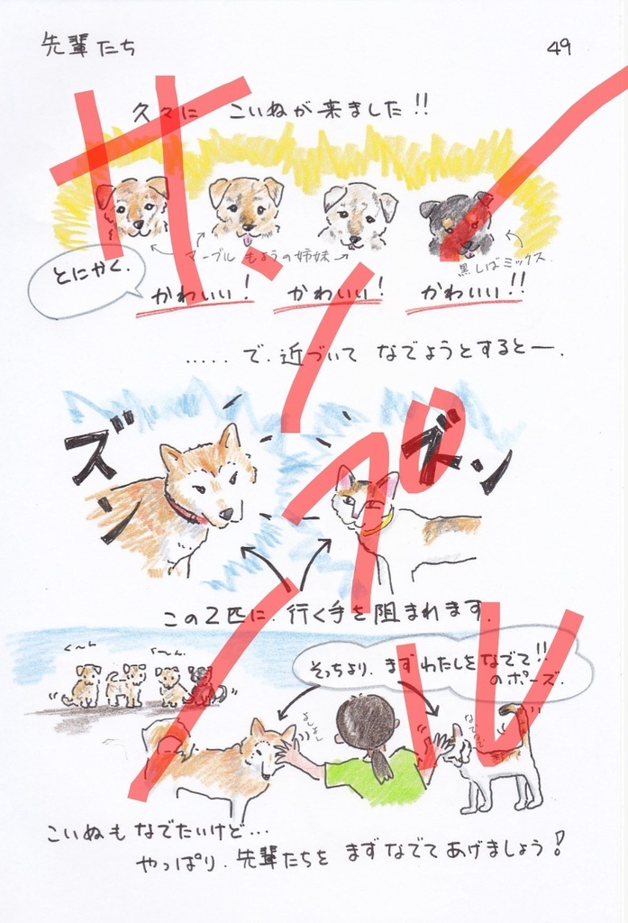 今日もゆくねこ