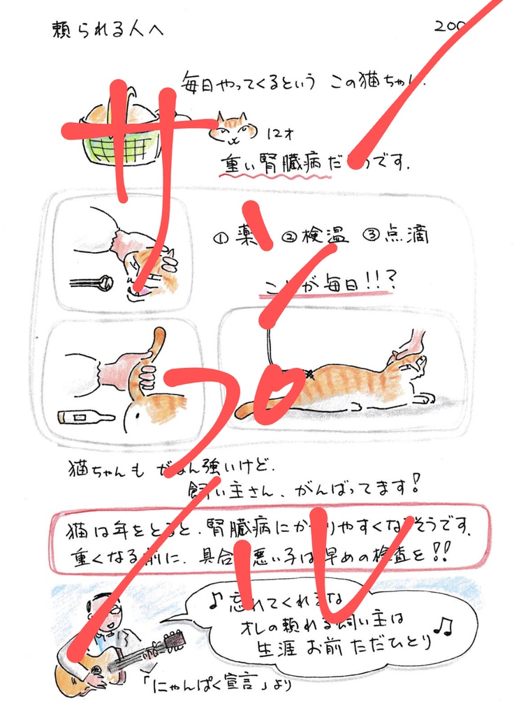 今日もゆくねこ2