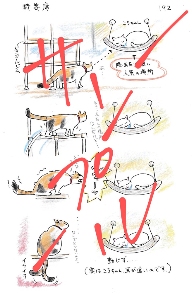 今日もゆくねこ2