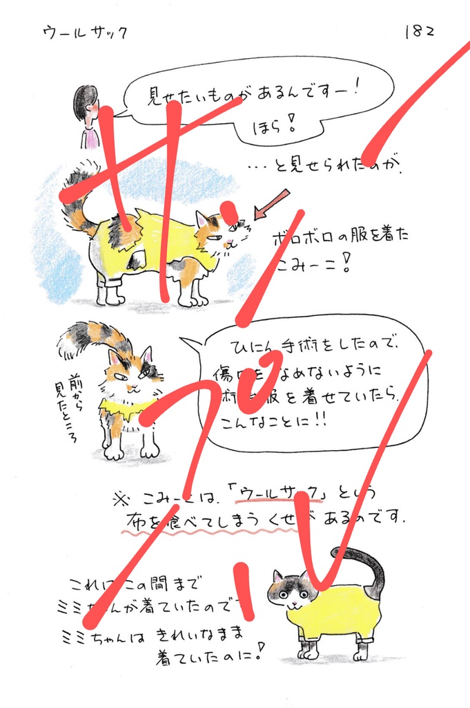 今日もゆくねこ2