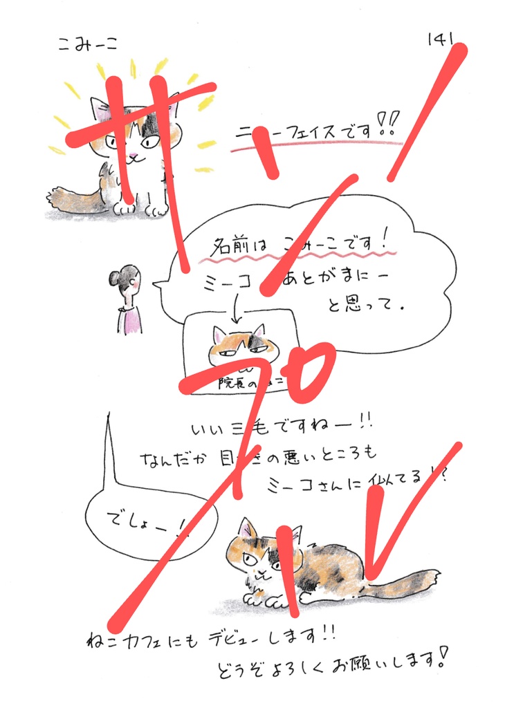 今日もゆくねこ2