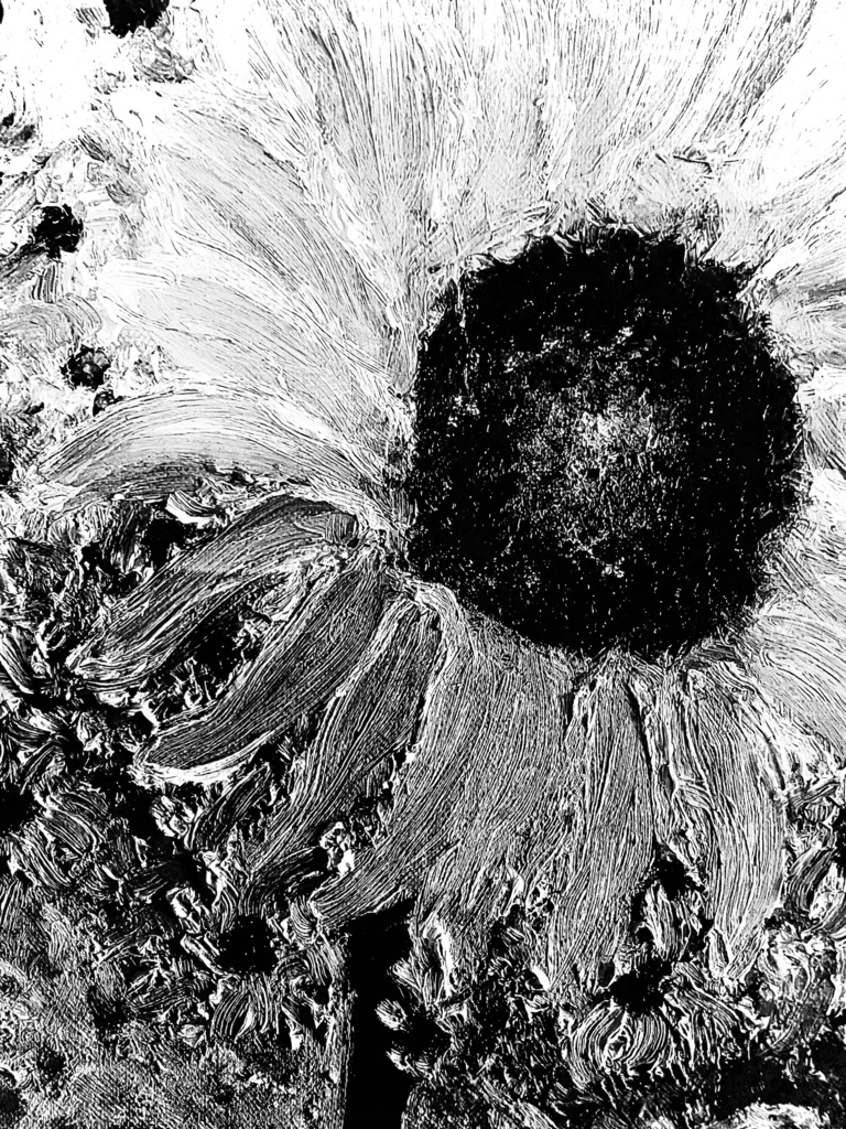 ひまわり（白）