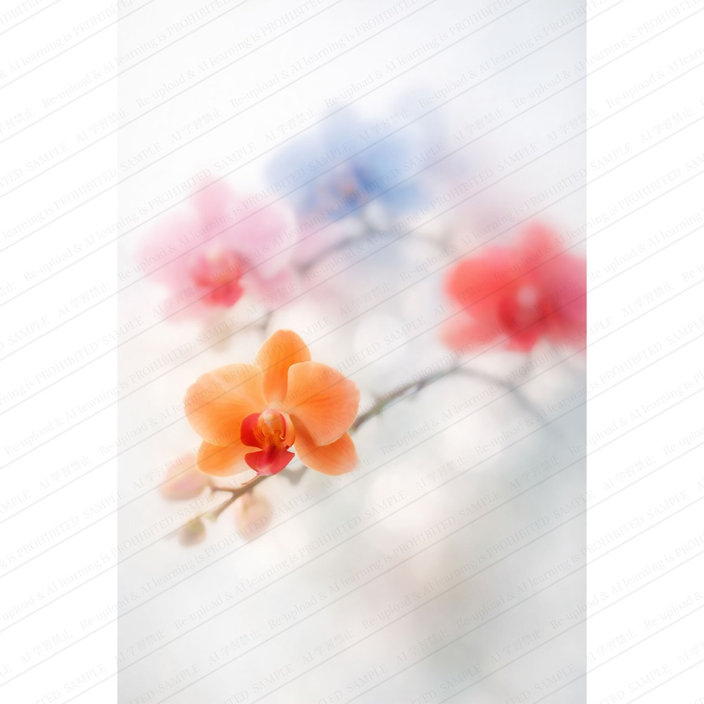 ふわりと浮かぶ色とりどりの胡蝶蘭の花　画像素材AI生成