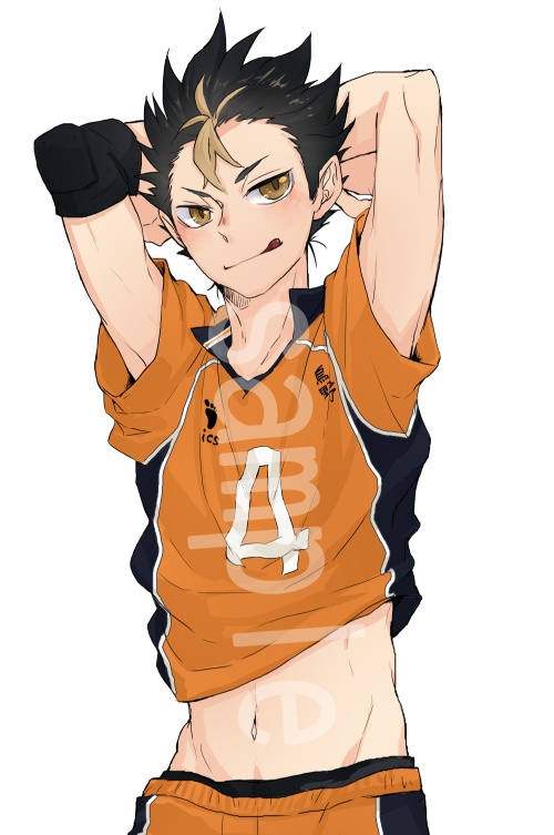 HQ西谷夕枕カバー!!!(片面)